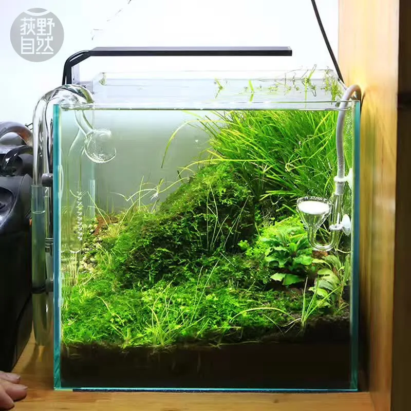 Aquarium Plant Light - Chihiros C Series ADA สไตล์พืช Grow