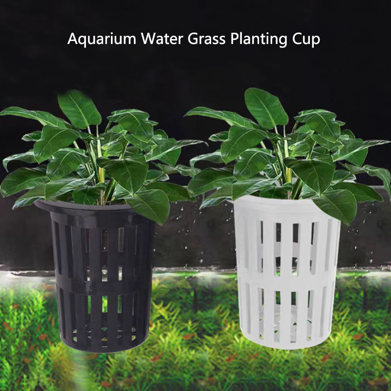Aquarium Plants Live - 1/3Pcs Aquarium Plantตะกร้าติดผนังHydroponicแขวนสําหรับถังปลาน้ําพืชผู้ถือตะขอแขวน
