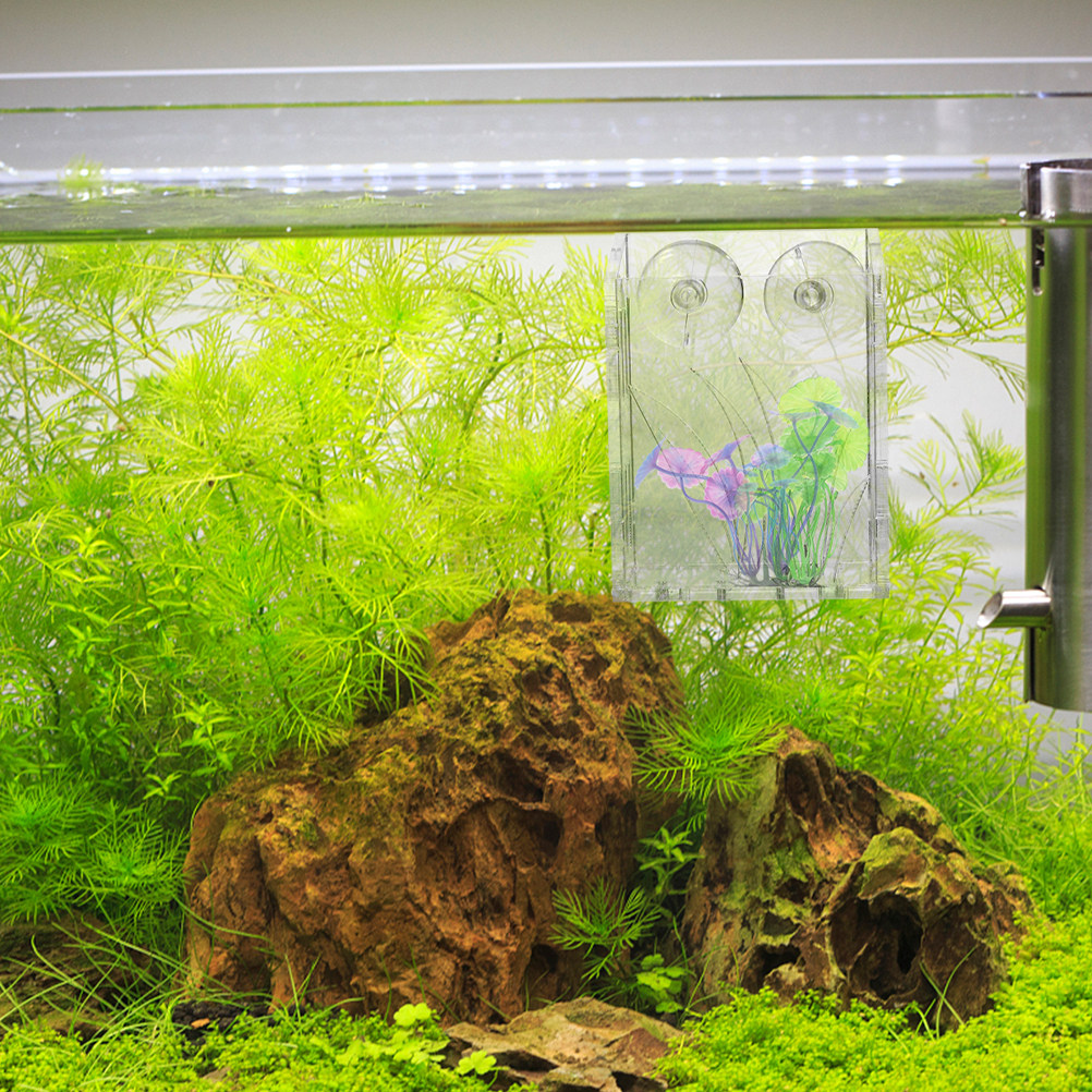 Aquarium Plant Holder - ถ้วยปลูกต้นไม้ในตู้ปลา 3 ชิ้น แบบใส แขวนได้ พร้อมถ้วยดูด