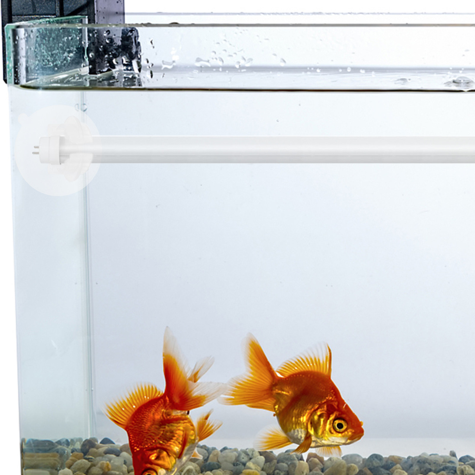 6 ชิ้น ที่วางไฟซิลิโคนสำหรับตู - Aquarium Plant Holder บทวิจารณ์และราคา