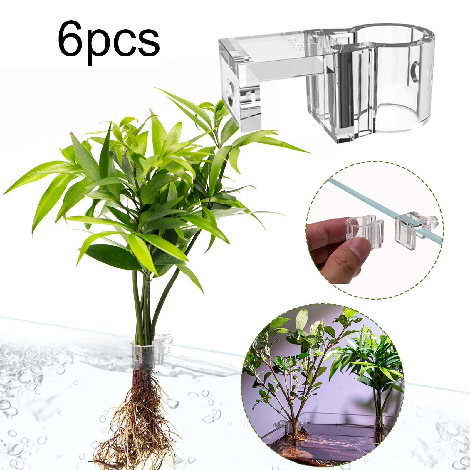 ที่วางต้นไม้ในตู้ปลา 6 ชิ้น ถ้ - Plant Aquarium Pot บทวิจารณ์และราคา