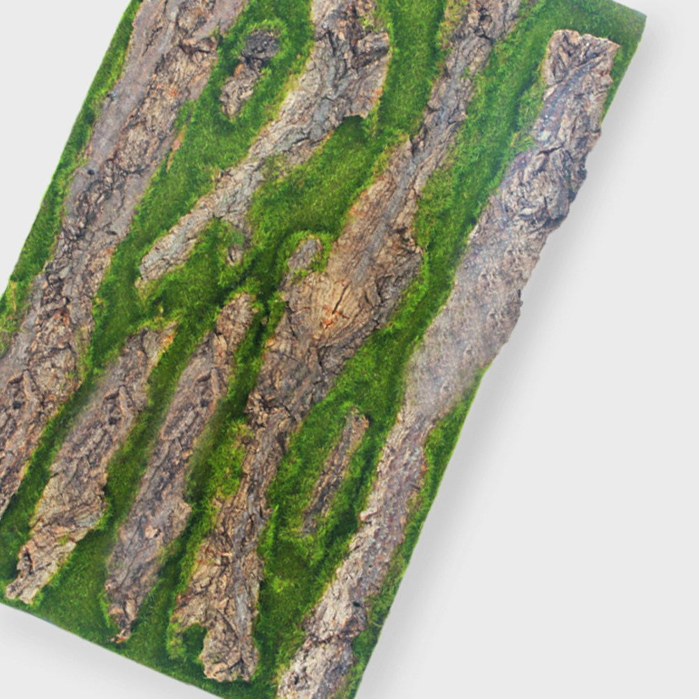 แผ่นฉากหลังตู้ปลา 3 มิติ ลายเป - Aquarium Moss บทวิจารณ์และราคา