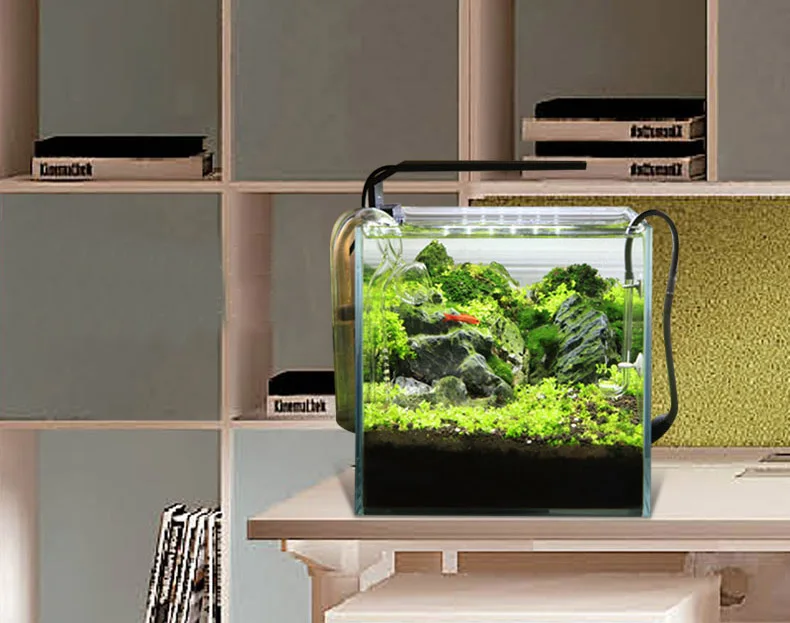 Chihiros C Series ADA สไตล์พืช - Aquarium Plant Light บทวิจารณ์และราคา