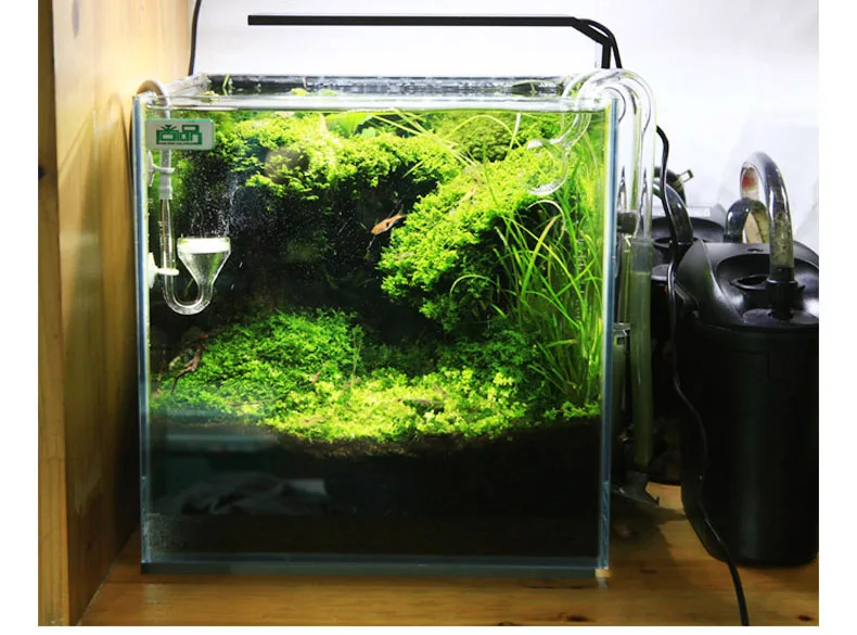 Chihiros C Series ADA สไตล์พืช - Aquarium Plant Light บทวิจารณ์และราคา