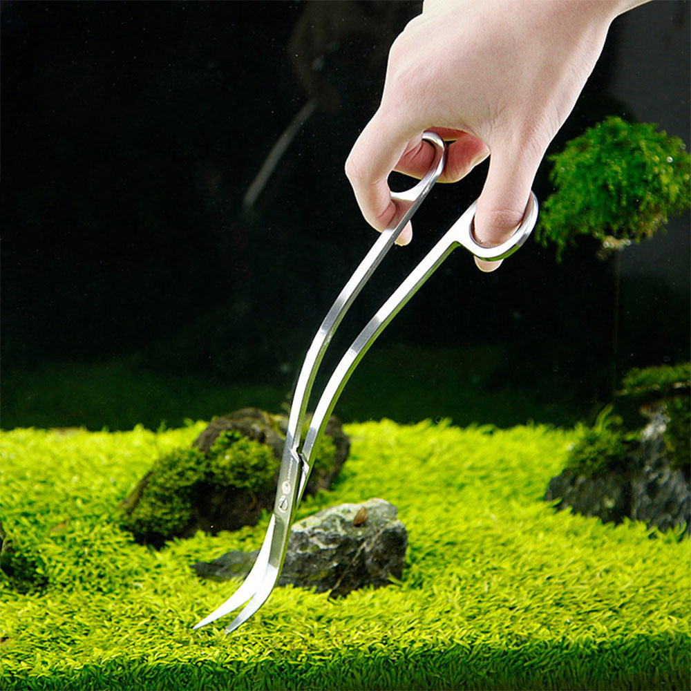อุปกรณ์ตู้ปลาสแตนเลสสตีล Aquar - Planted Aquarium Cleaning บทวิจารณ์และราคา