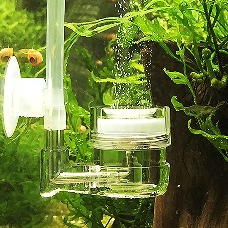 เครื่องกระจายก๊าซคาร์บอนไดออกไ - Live Plant Aquarium บทวิจารณ์และราคา