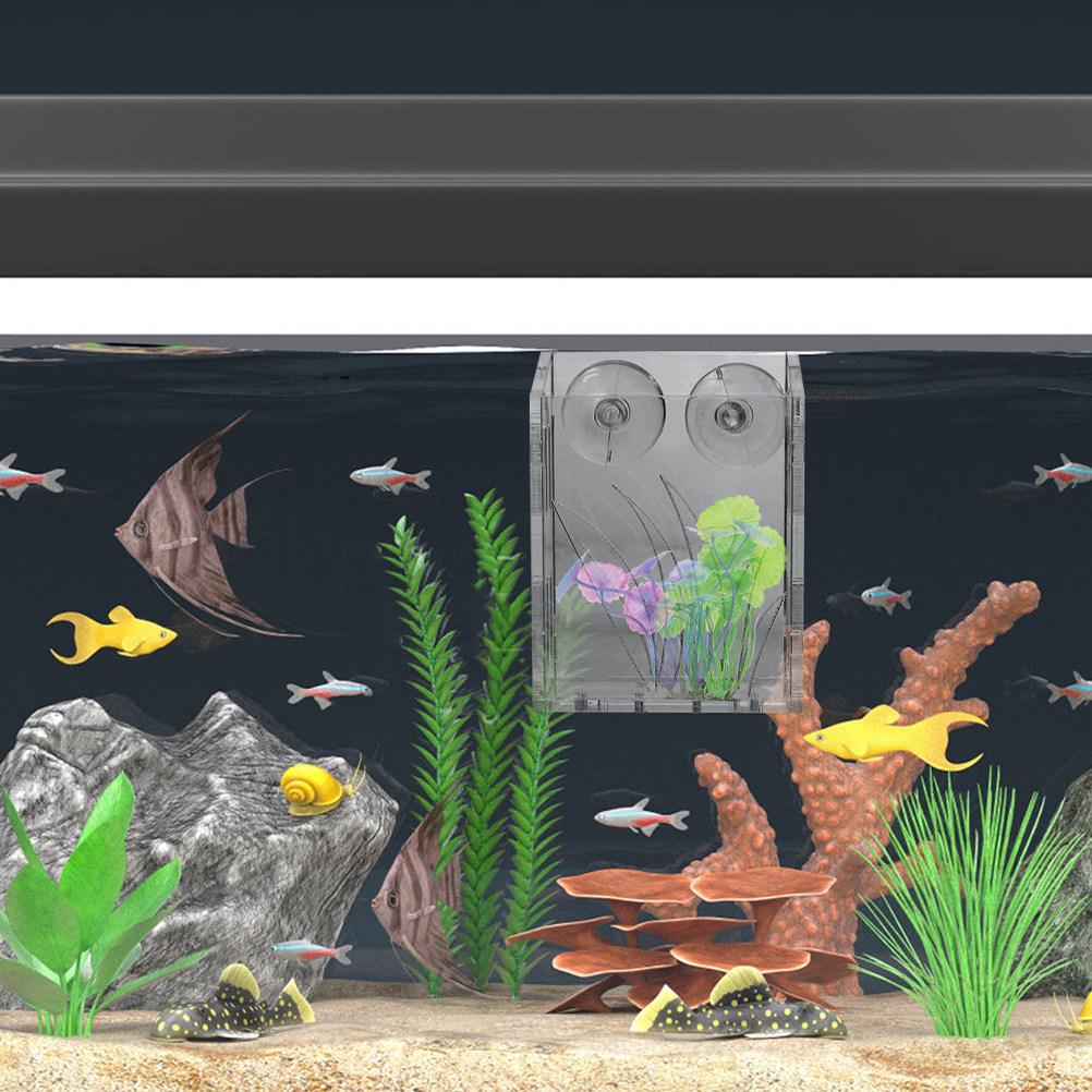 3 ชิ้น ที่วางต้นไม้ในตู้ปลา ถ้ - Plant Aquarium Pot บทวิจารณ์และราคา