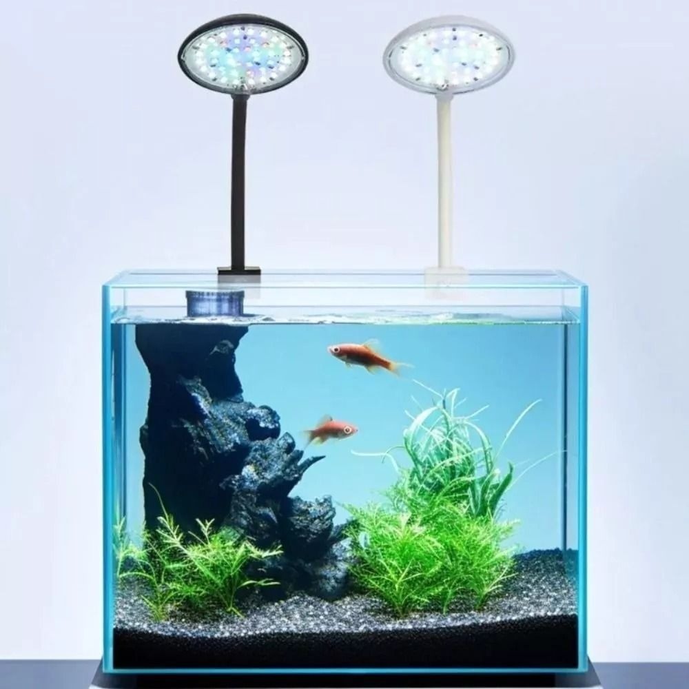 โคมไฟขนาดเล็กแบบหนีบสำหรับตู้ป - Aquarium Plants Live บทวิจารณ์และราคา
