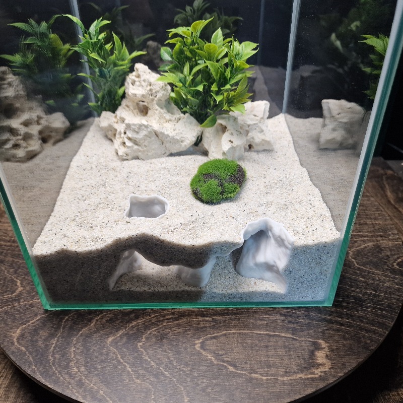 ที่ซ่อนตัวสำหรับปลาและกุ้งแบบ  - Aquarium Driftwood บทวิจารณ์และราคา