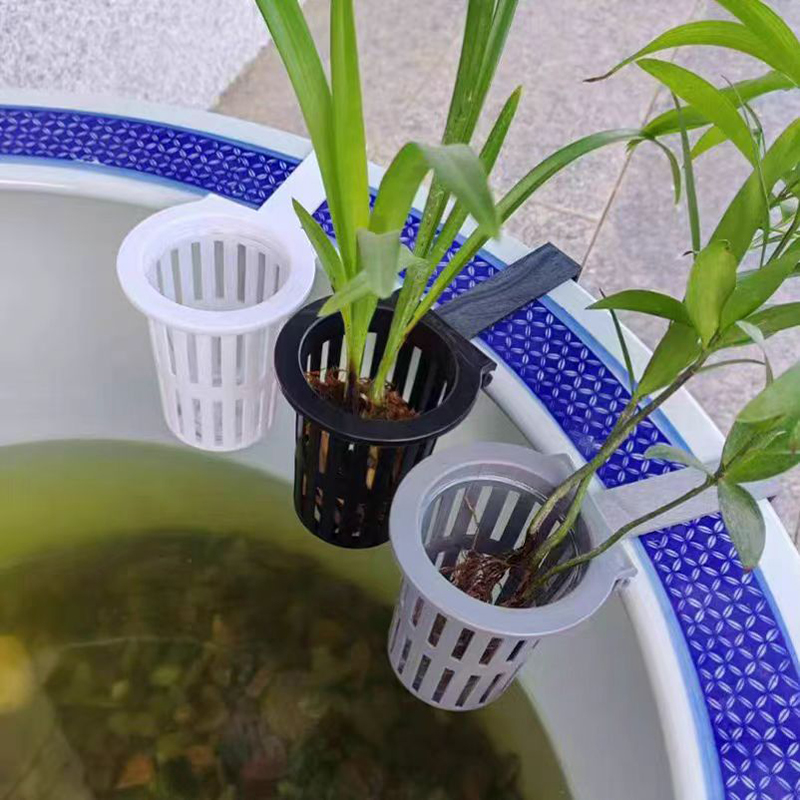 1/3Pcs Aquarium Plantตะกร้าติด - Aquarium Plants Live บทวิจารณ์และราคา