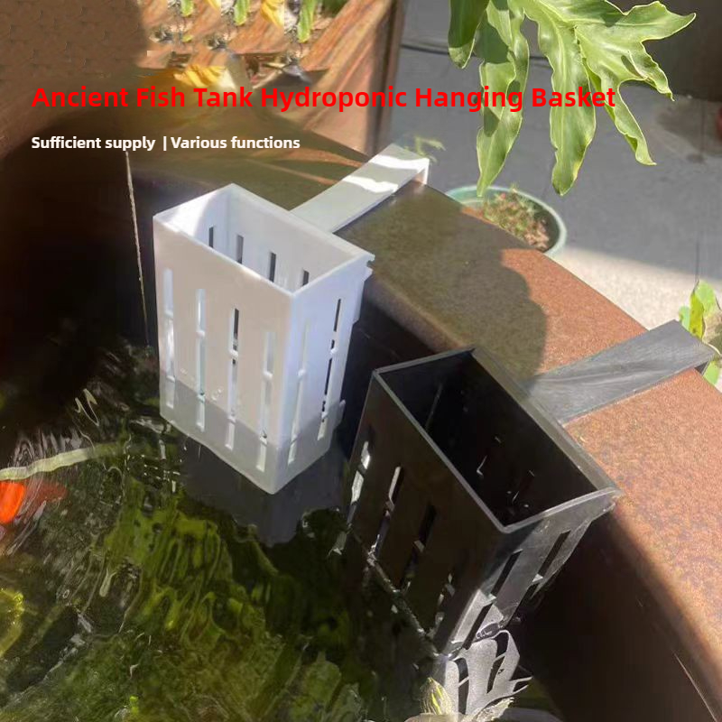 1/3Pcs Aquarium Plantตะกร้าติด - Aquarium Plants Live บทวิจารณ์และราคา
