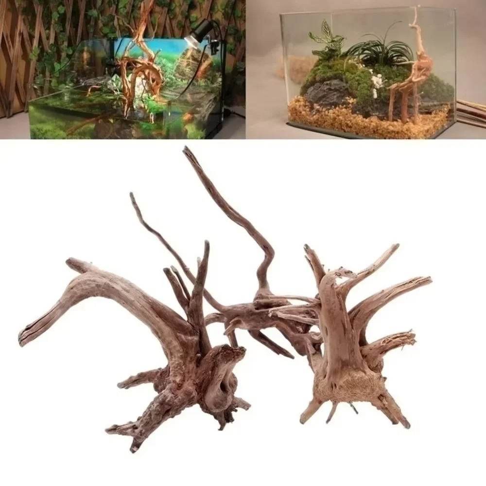 ไม้ลอยน้ำธรรมชาติขนาด 15-20 ซม - Aquarium Moss บทวิจารณ์และราคา