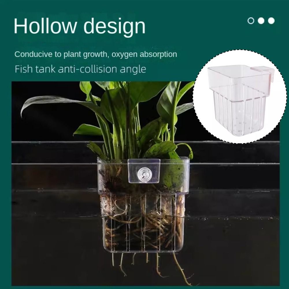 ตะกร้าปลูกพืชไฮโดรโปนิกส์สำหรั - Planted Tank บทวิจารณ์และราคา