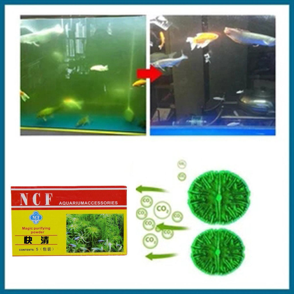 Aquarium Water Purifying Powde - Aquarium Moss บทวิจารณ์และราคา