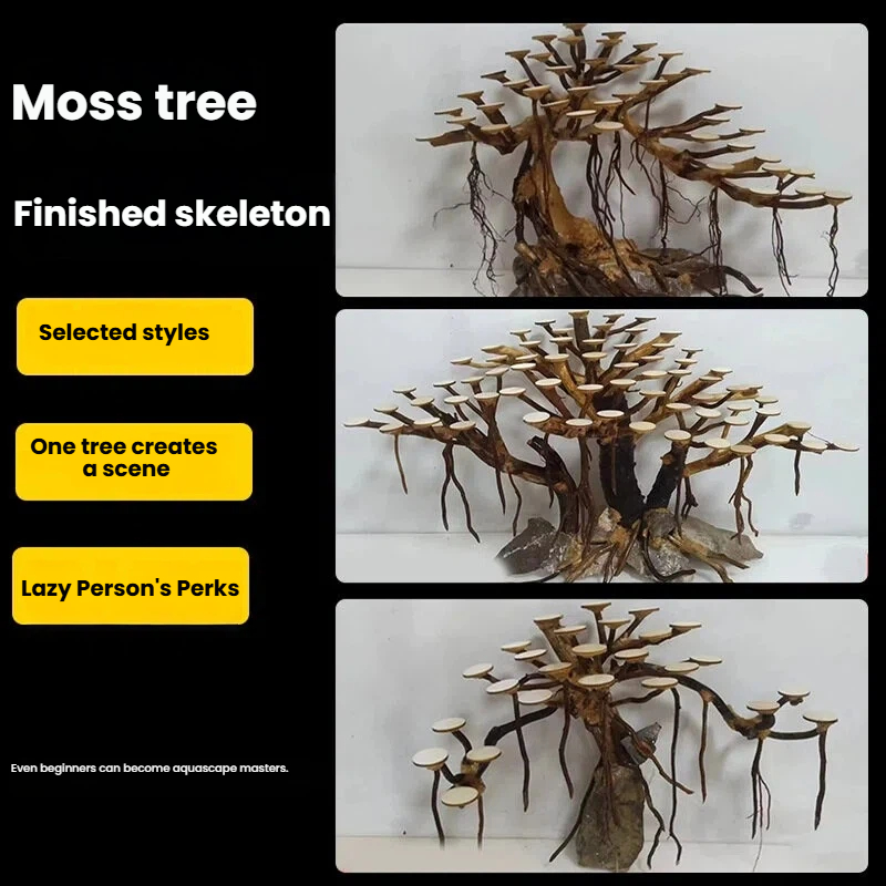 ต้นไม้ประดับตู้ปลา ตกแต่งด้วยม - Aquarium Moss บทวิจารณ์และราคา