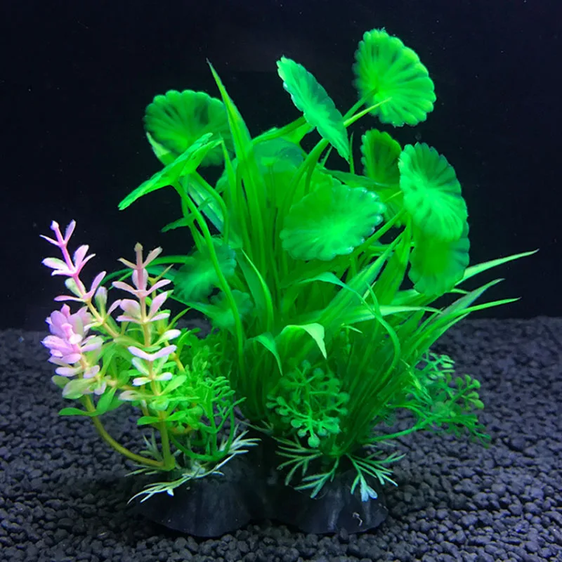 Aquarium ประดิษฐ์ตกแต่งพืชจําล - Live Plant Aquarium บทวิจารณ์และราคา