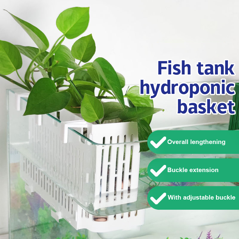 【F】กระถางแขวนตู้ปลา ที่วางต้นไ - Aquarium Plant Substrate บทวิจารณ์และราคา