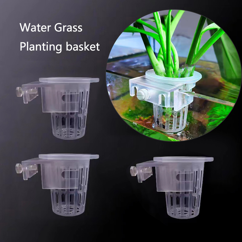 ตะกร้าปลูกตู้ปลาแบบไฮโดรโปนิกส - Aquarium Plants Live บทวิจารณ์และราคา