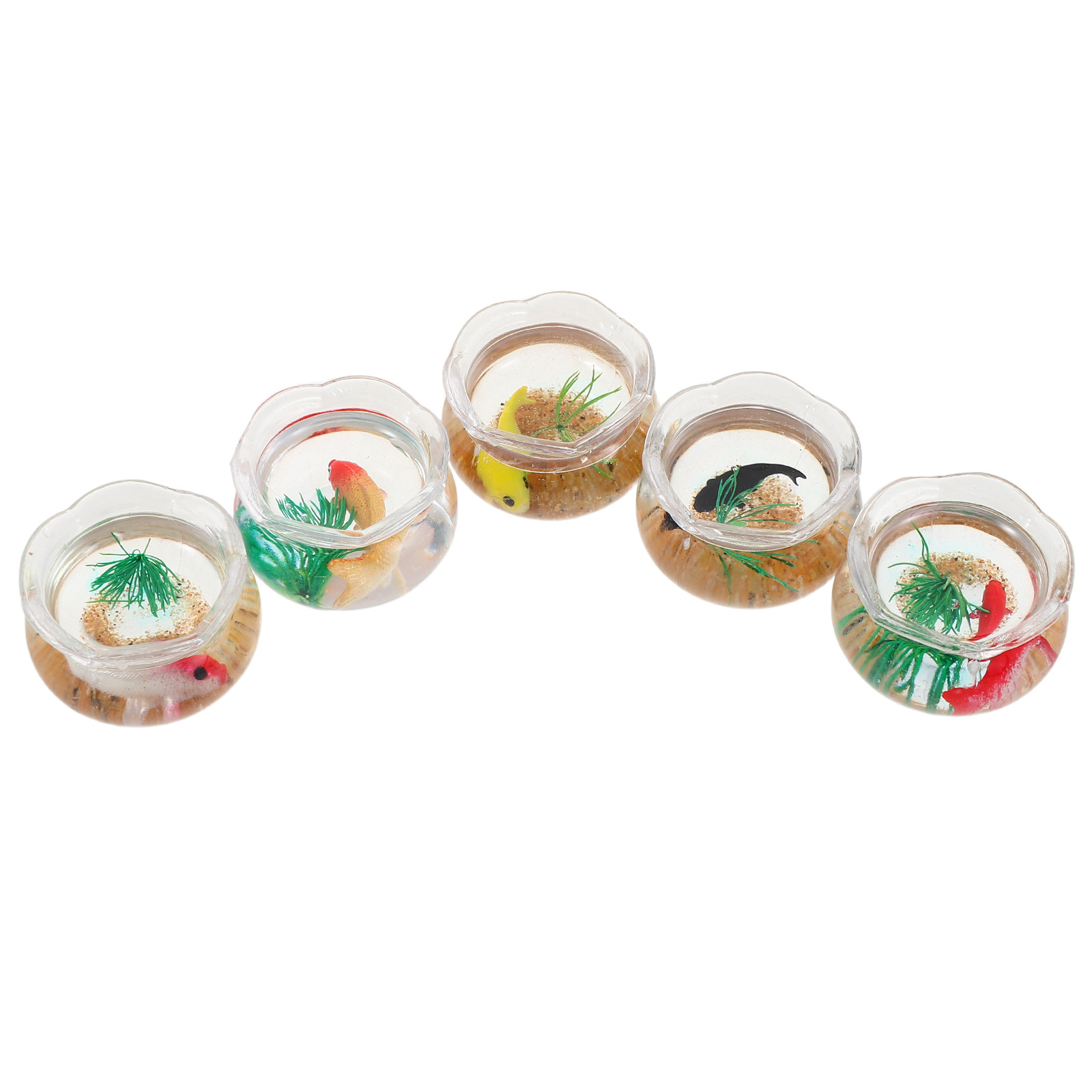 ชุดตู้ปลาคาร์ปจิ๋ว 5 ชิ้น: ตู้ - Planted Tank บทวิจารณ์และราคา