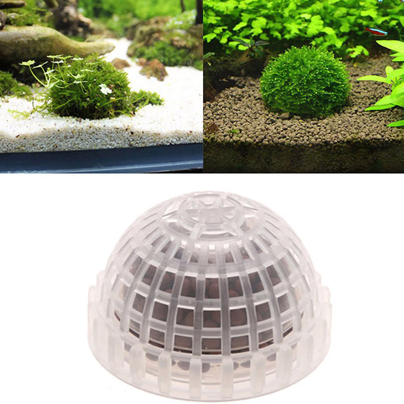 【B】อุปกรณ์ตกแต่งตู้ปลา ของตกแต - Aquarium Plants Live บทวิจารณ์และราคา